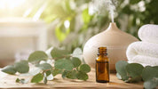 Eucalyptus olie gebruiken: waar is het goed voor?