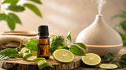Bergamot olie gebruiken: frisse geur voor ontspanning en balans