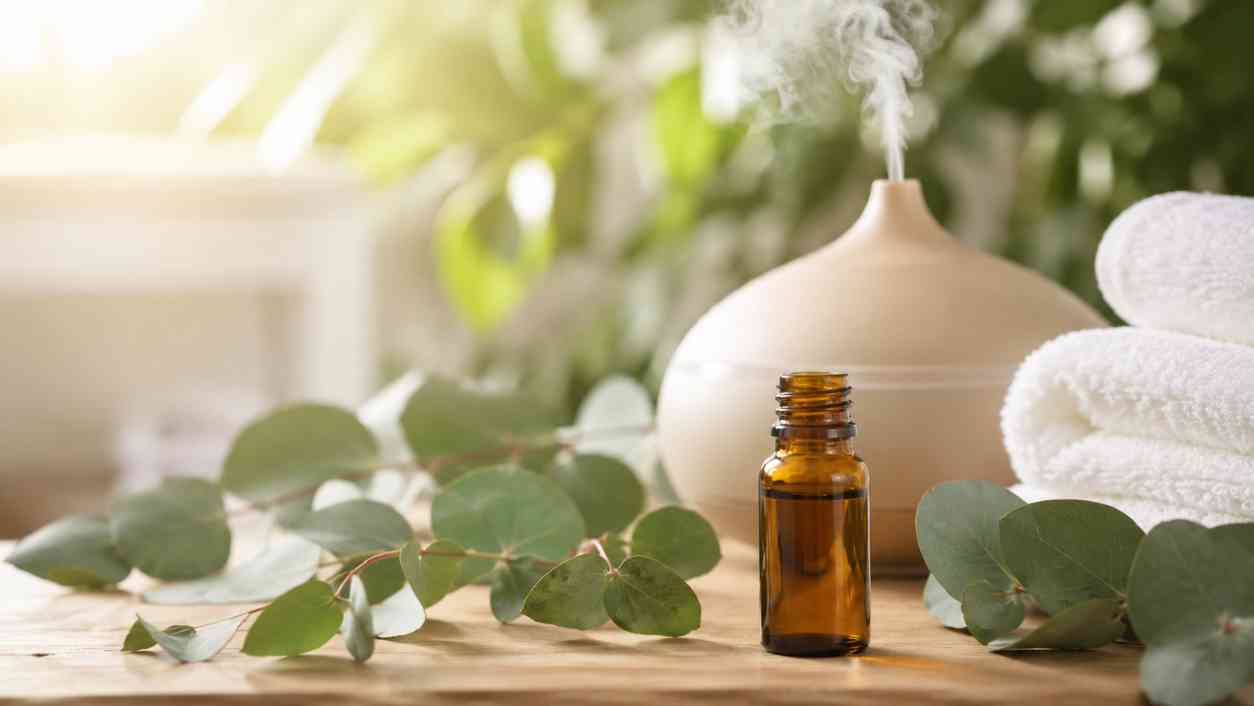Eucalyptus olie gebruiken: waar is het goed voor?